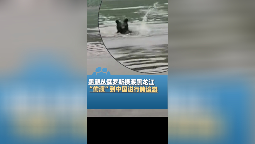 中华环保联合会删除虞书欣相关,正版资料免费大全,展开解析落实_工具版V6.84