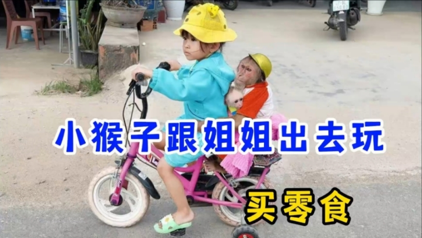 台媒怒斥张兰干儿子,澳门正版免费资料2025年两期必出,广泛的解释落实方法分析_创新版V7.87